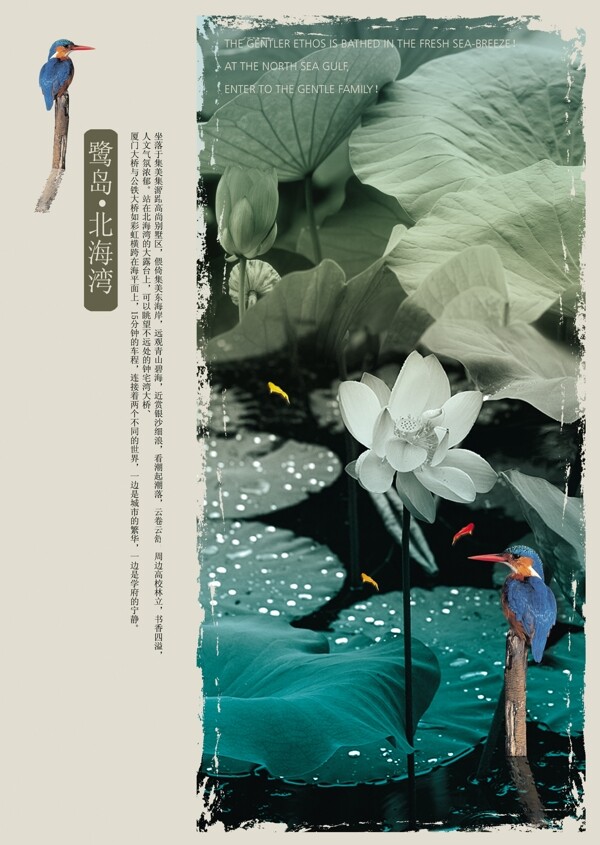 夏日荷花與露珠PSD分層素材