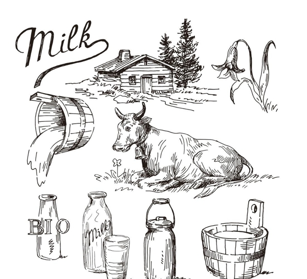 农场牛奶元素简笔画图片