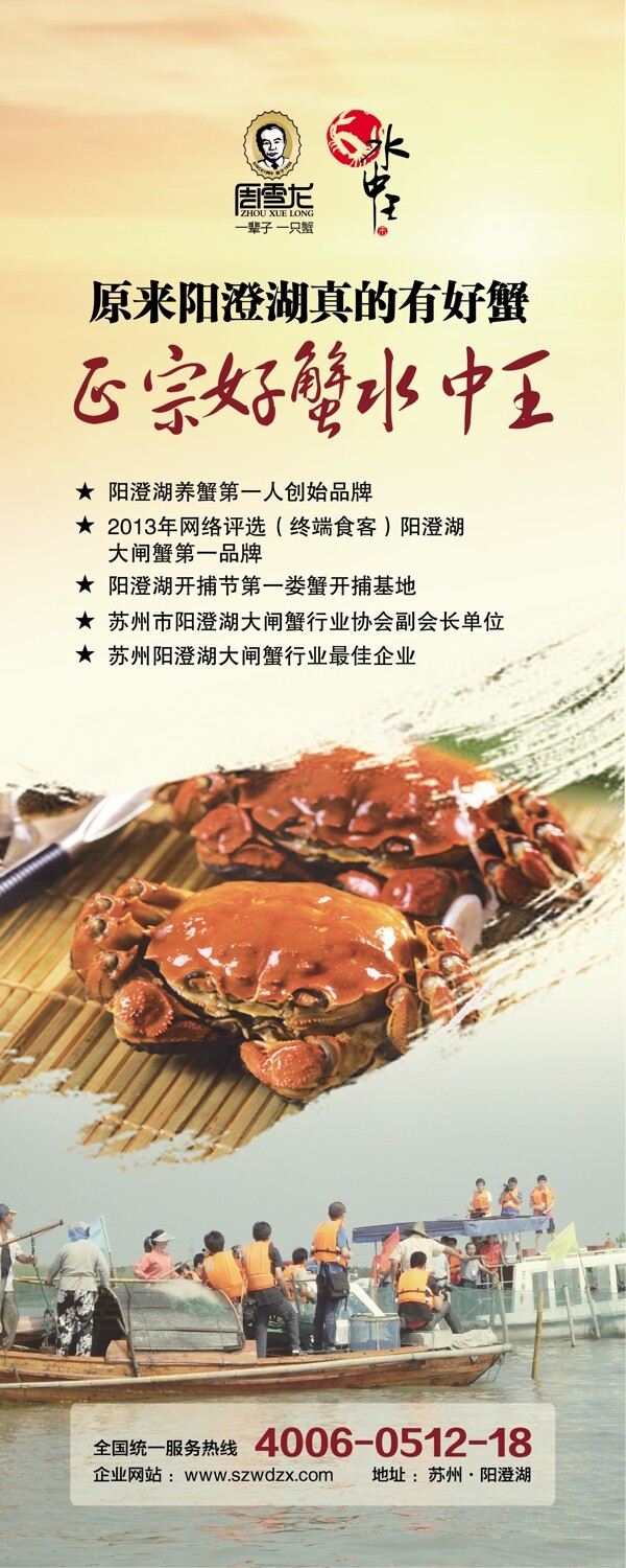 水中王大閘蟹X展架