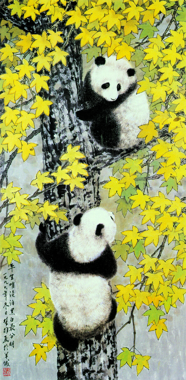 淡泊圖片