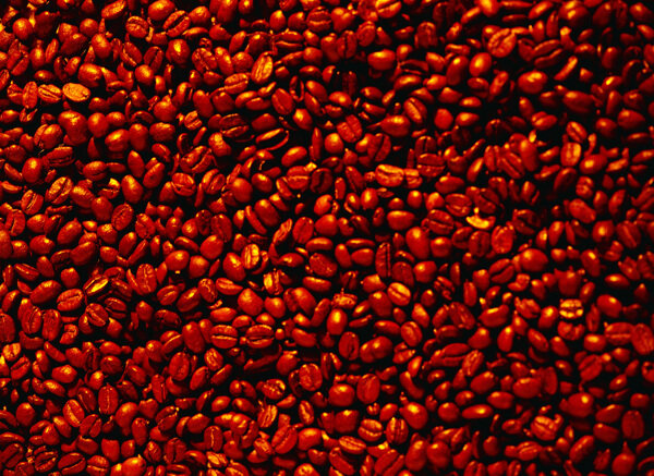 一堆褐色咖啡豆特写图片