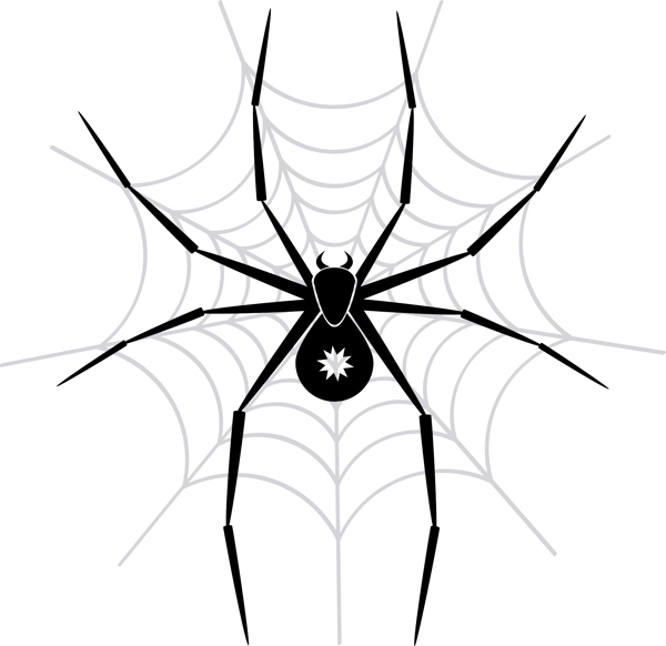 蜘蛛网上的蜘蛛