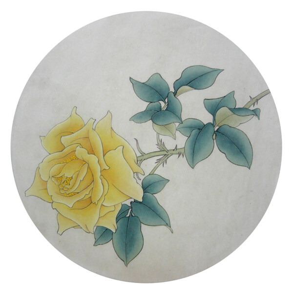 月季花圖片