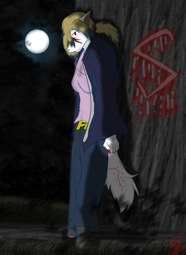 在shadowly夜