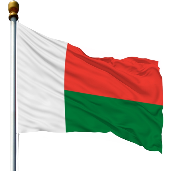带旗杆的马达加斯加国旗