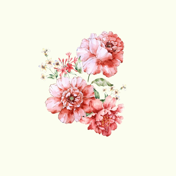 位圖psd植物花朵免費(fèi)素材