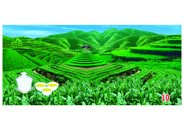 茶山圖片
