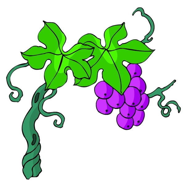 花卉古典插畫