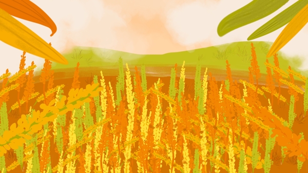 彩绘秋天丰收季玉米地背景素材