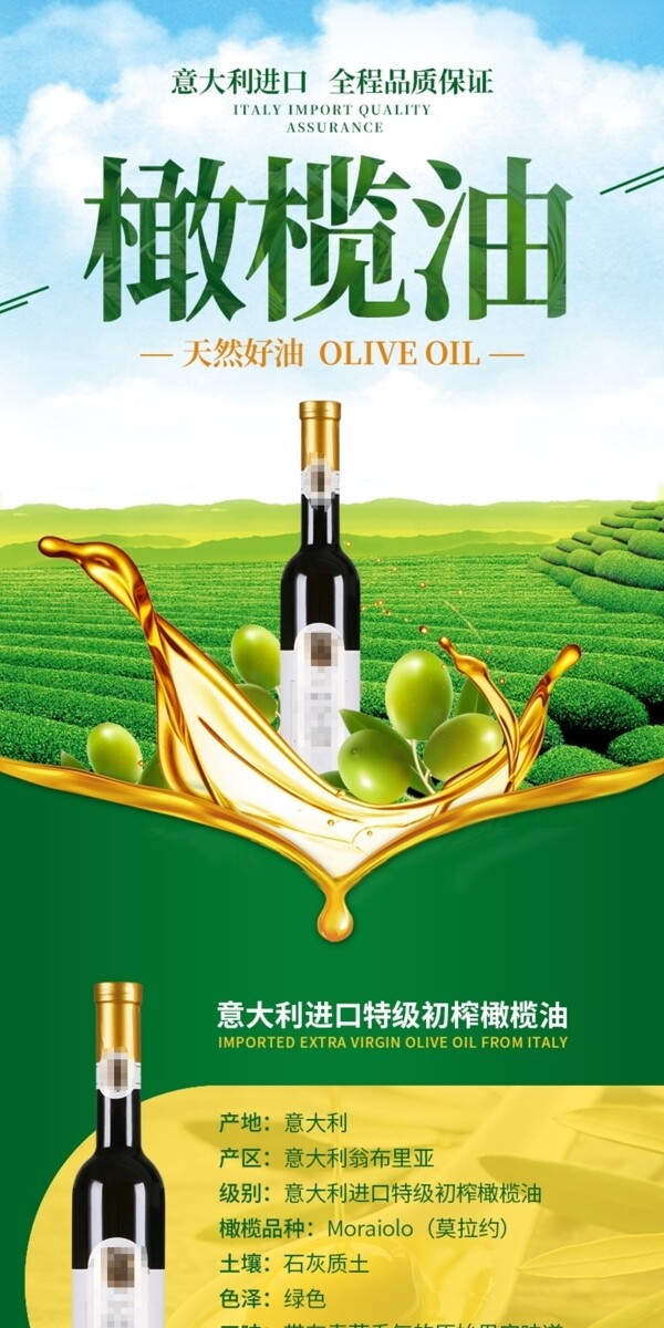 电商淘宝食品类进口橄榄油食用油
