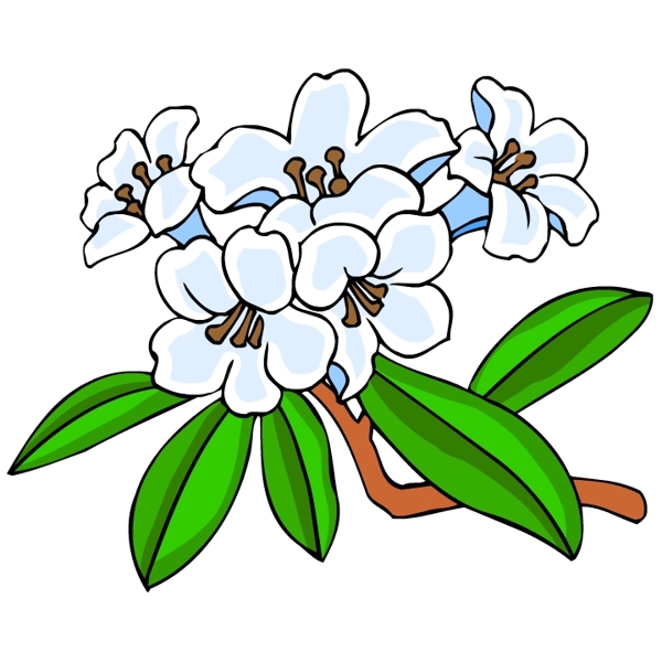 花卉古典插畫