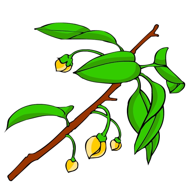 花卉古典插畫