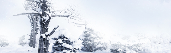 淘寶男士冬裝背景banner