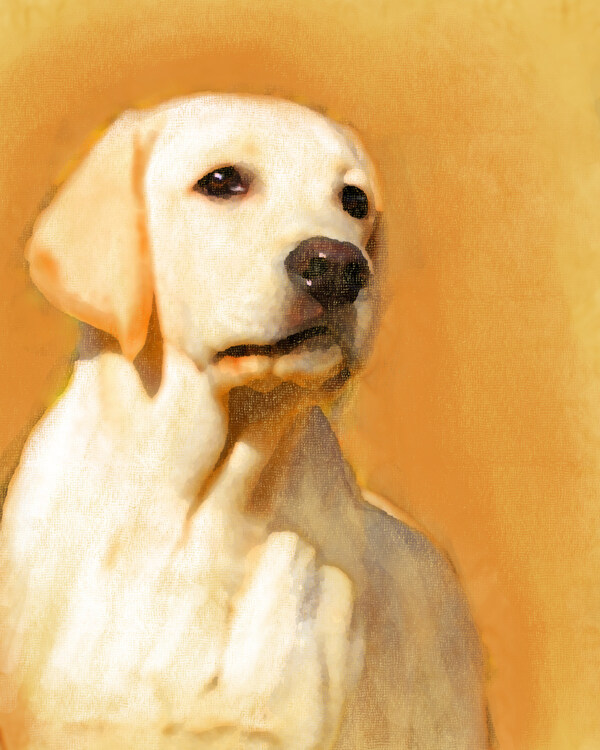 水彩小狗插畫