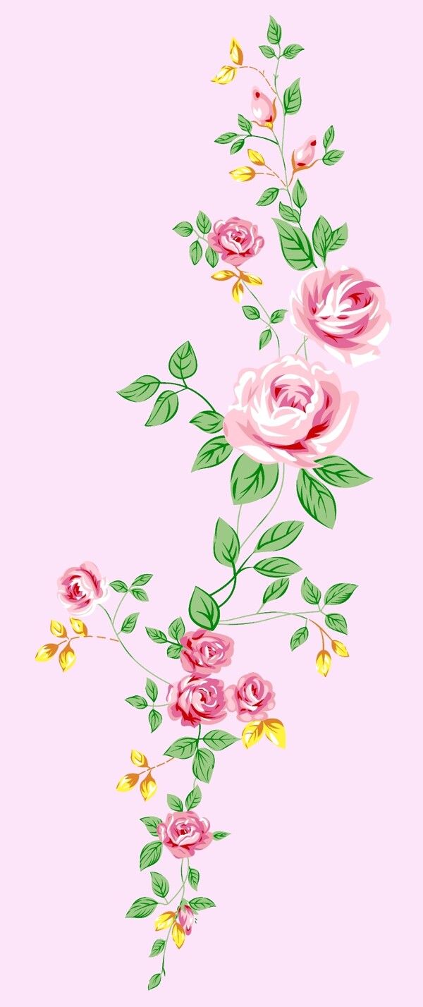 群花爭艷圖片