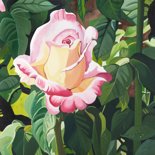 位圖植物寫(xiě)意花卉花朵玫瑰免費(fèi)素材