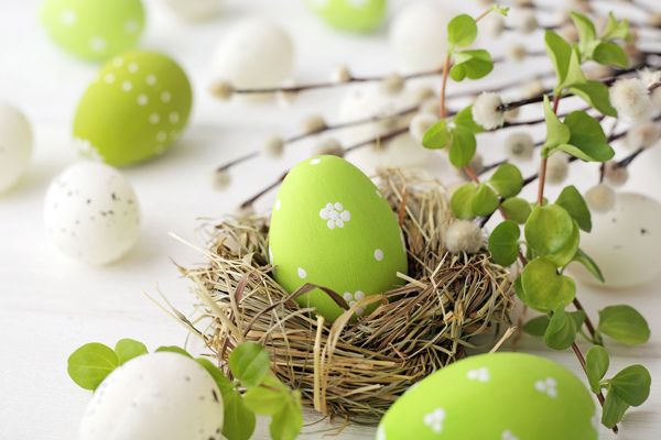 复活节绿色鸡蛋装饰