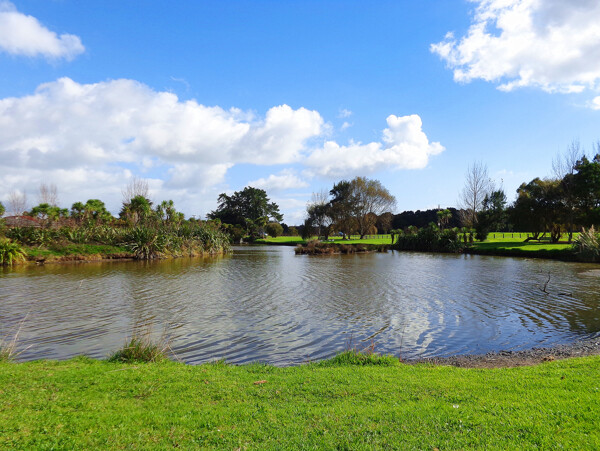 新西兰野鸭湖风景图片