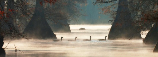美景