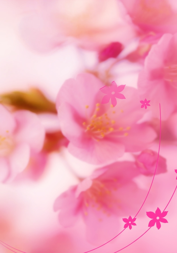婚紗模板