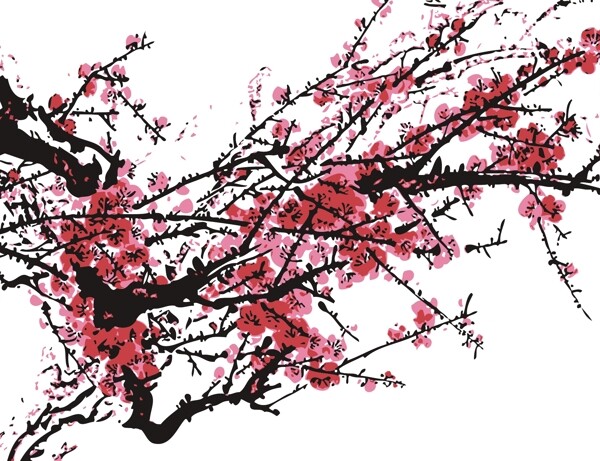 梅花圖片