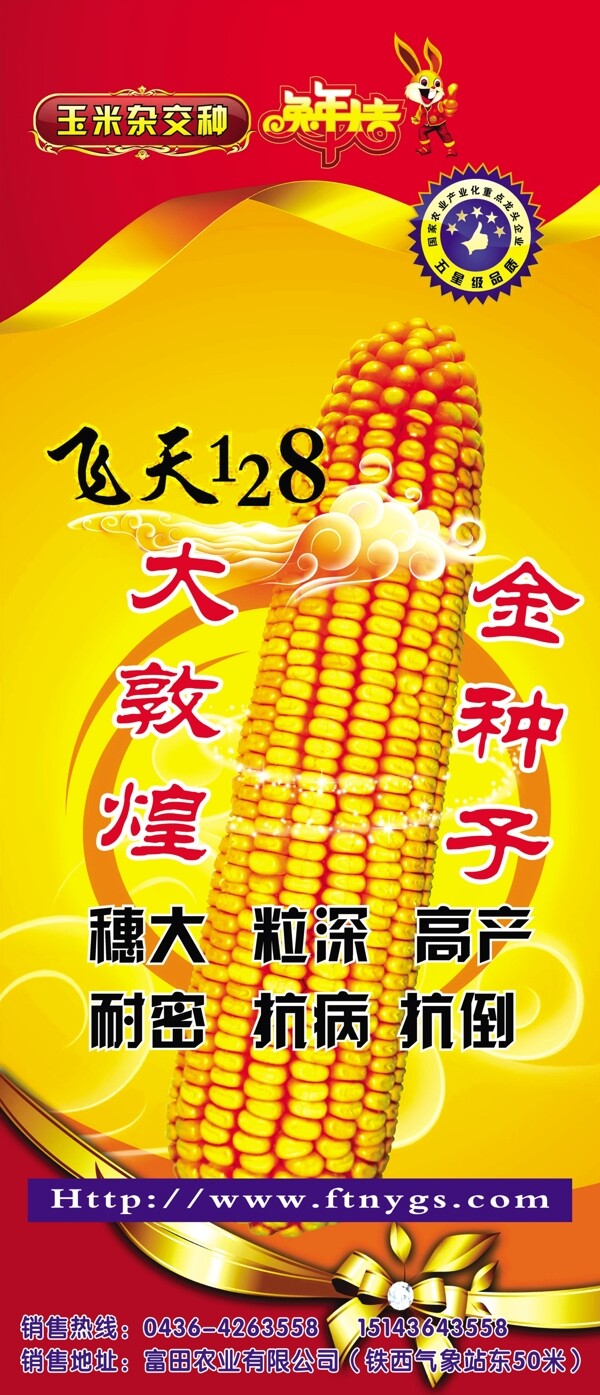 玉米種子海報(bào)圖片