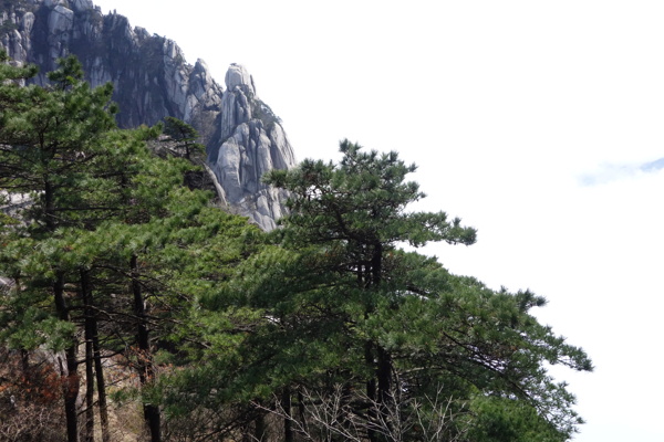 黃山