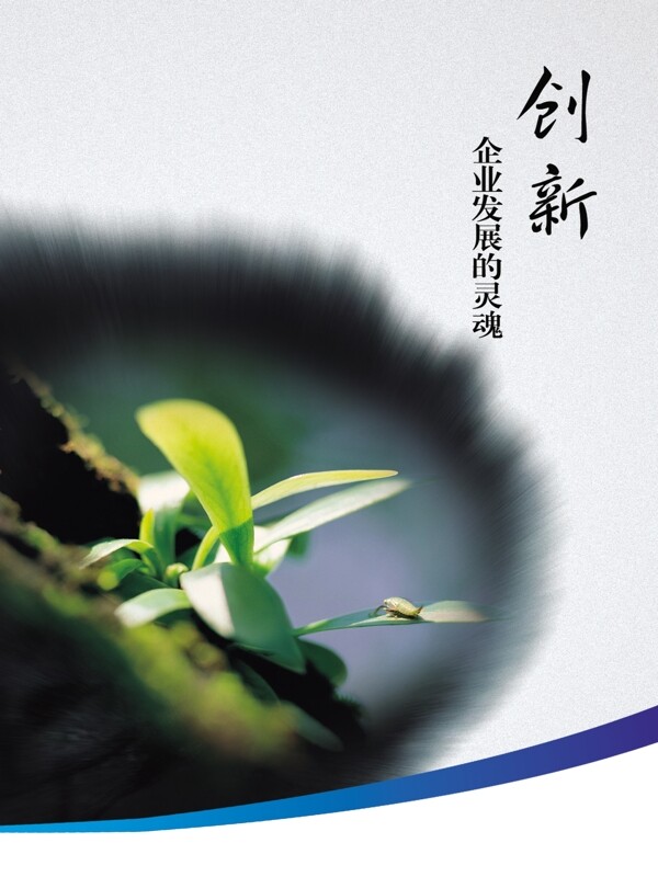 企業(yè)文化展板圖片