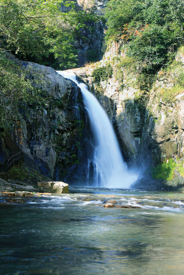 樹植物水風(fēng)景