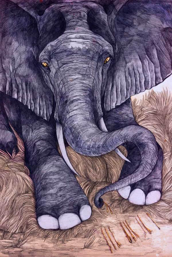 位圖插畫時尚插畫動物插畫藝術(shù)效果免費素材