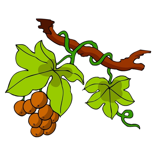 花卉古典插畫