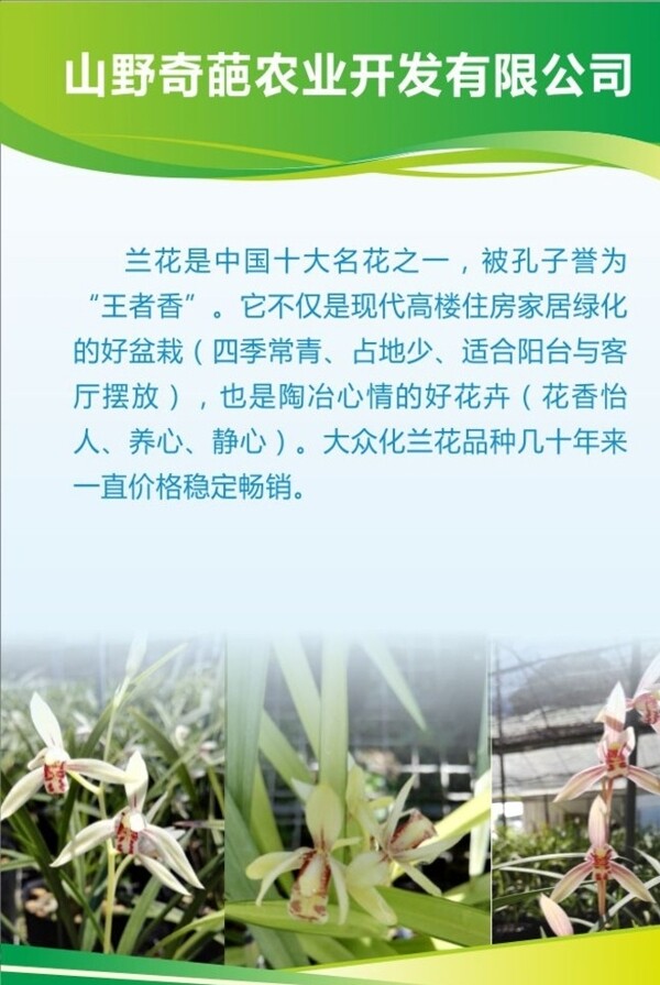 制度牌圖片