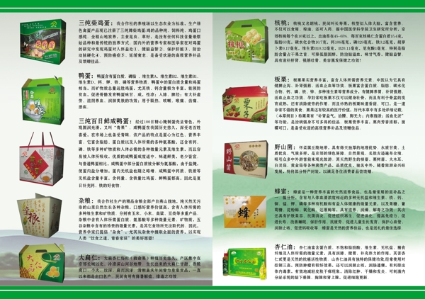 彩頁圖片