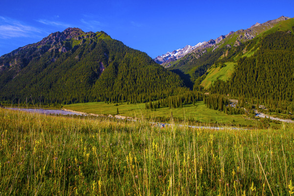 新疆夏塔風(fēng)景