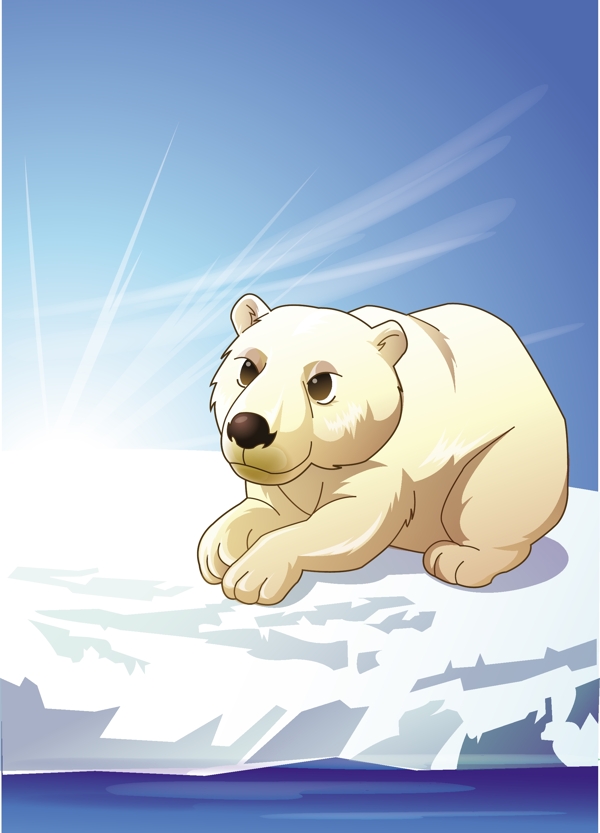 北极熊4