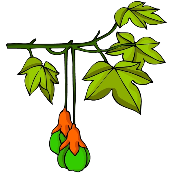 花卉古典插畫