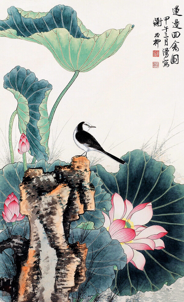 荷花小鳥圖片