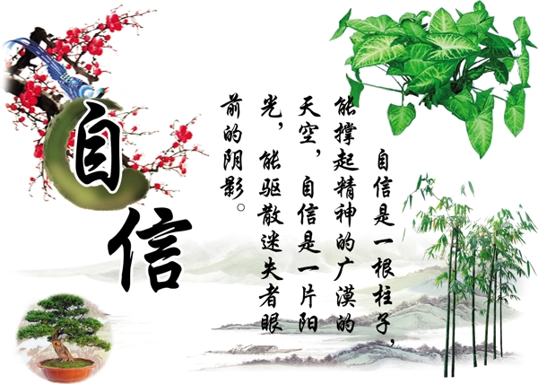 自信