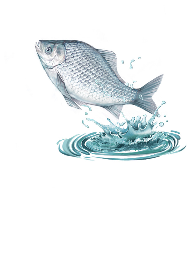 魚描圖圖片