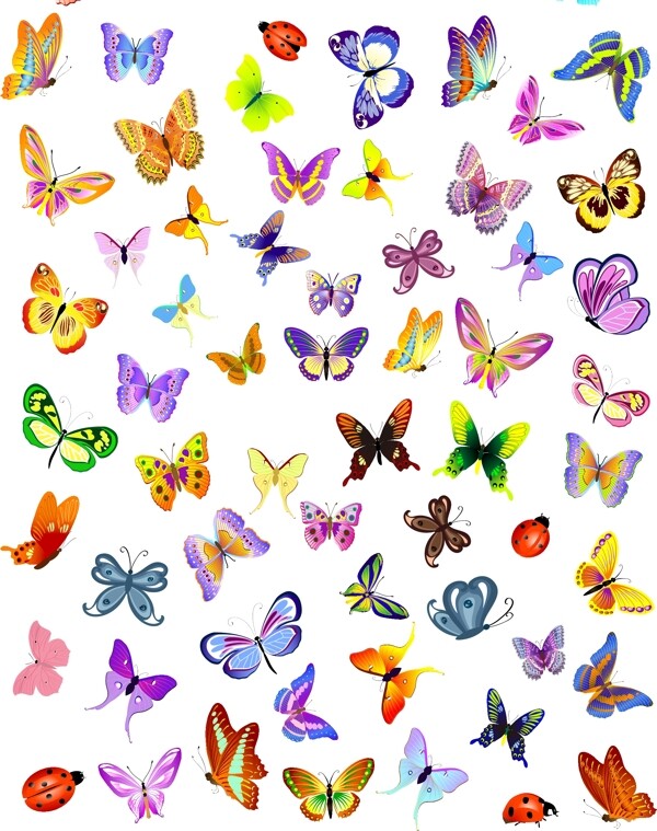 各种蝴蝶