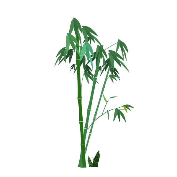 创意绿色植物高清竹子素材