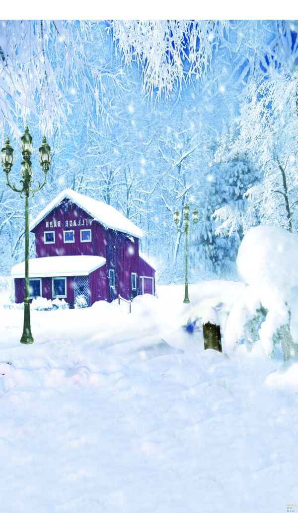 雪景