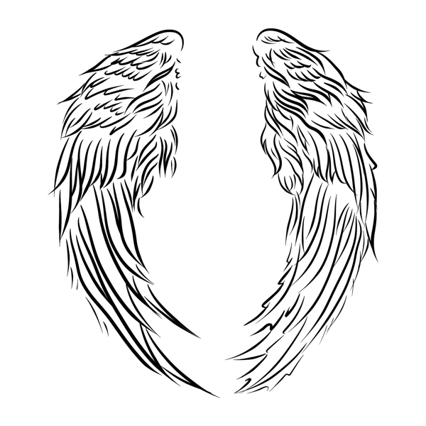 天使翅膀花纹纹理线稿素材