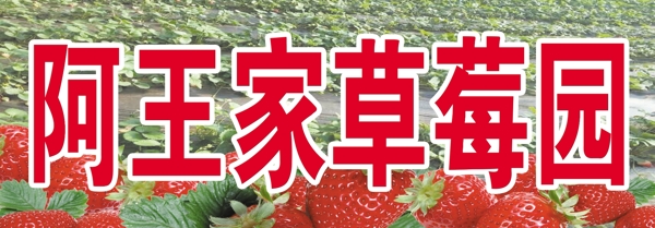 阿王家草莓园