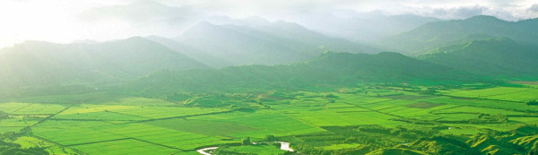 田園banner創(chuàng)意設(shè)計