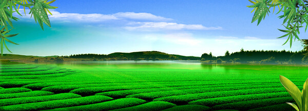 清新綠色草地banner背景素材