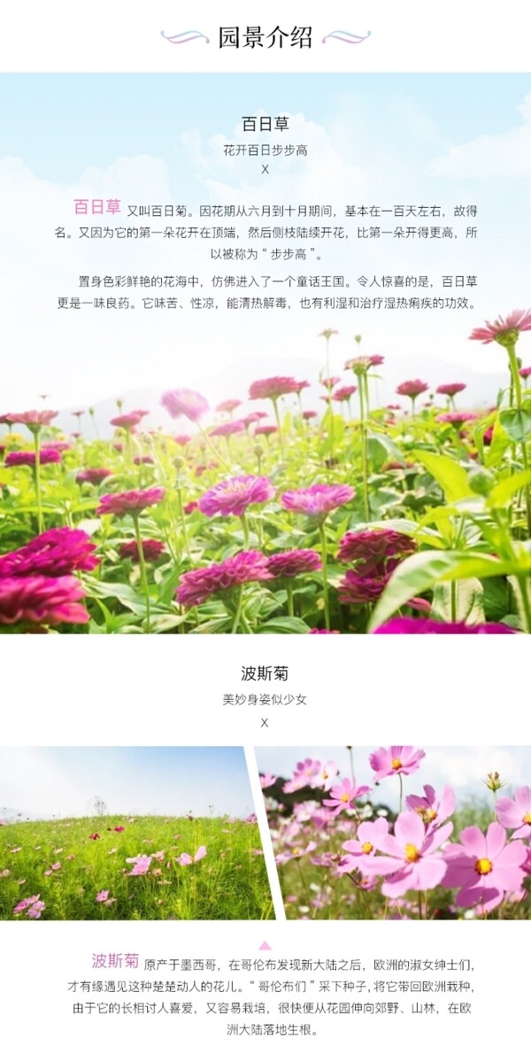 千花里詳情頁