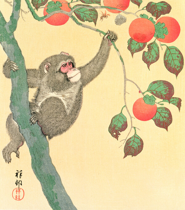 繪畫猴圖片