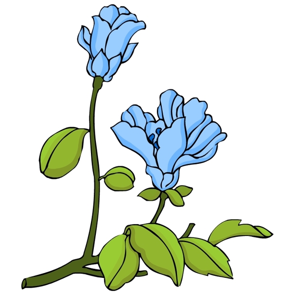花卉古典插畫