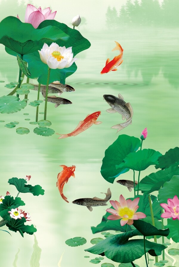荷花錦鯉瓷磚高清背景墻